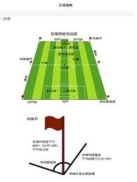 探讨中国足球低迷原因的国际视角